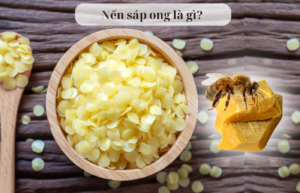 Nến thơm sáp ong là gì?